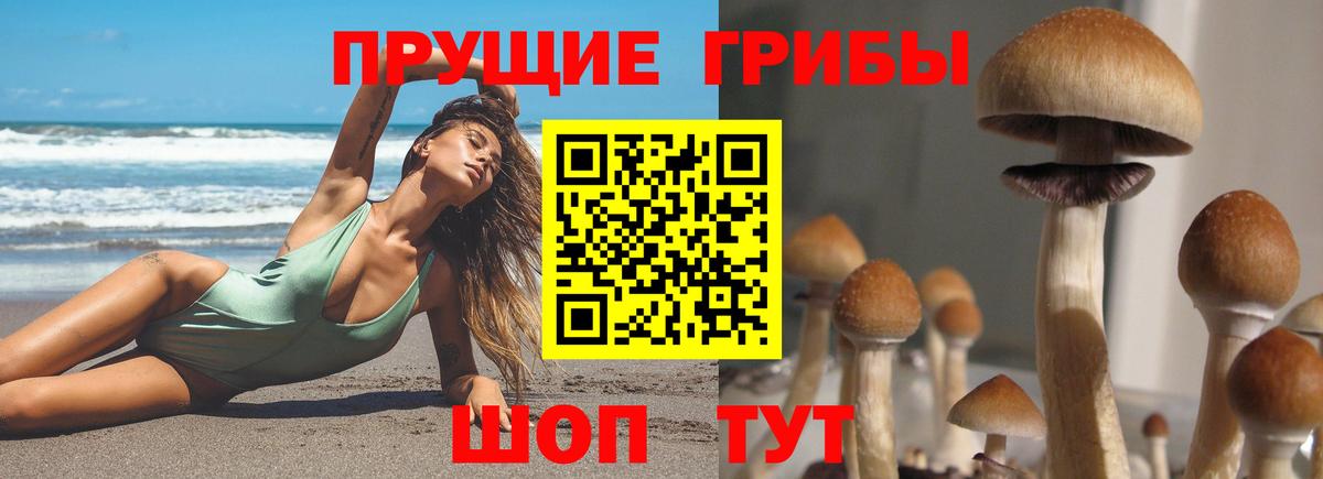 Галлюциногенные грибы мухоморы  Вход с VPN  Истра 